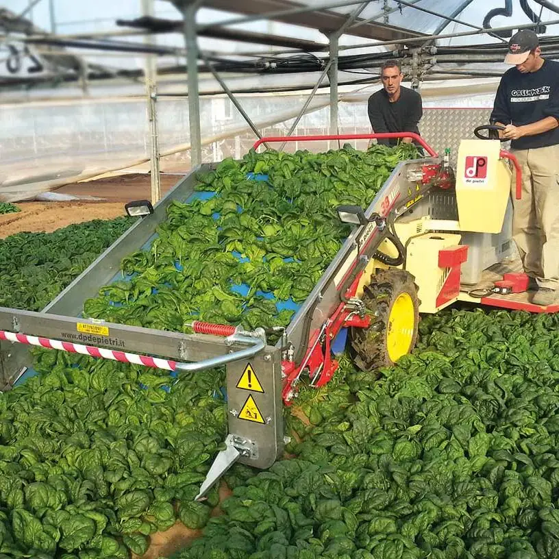 茶摘採機